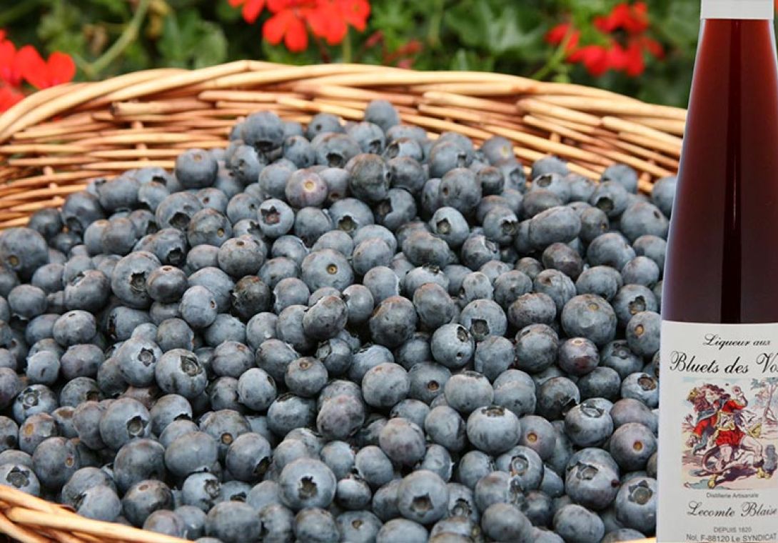 liqueur de bluets des vosges typique vosgien terroir