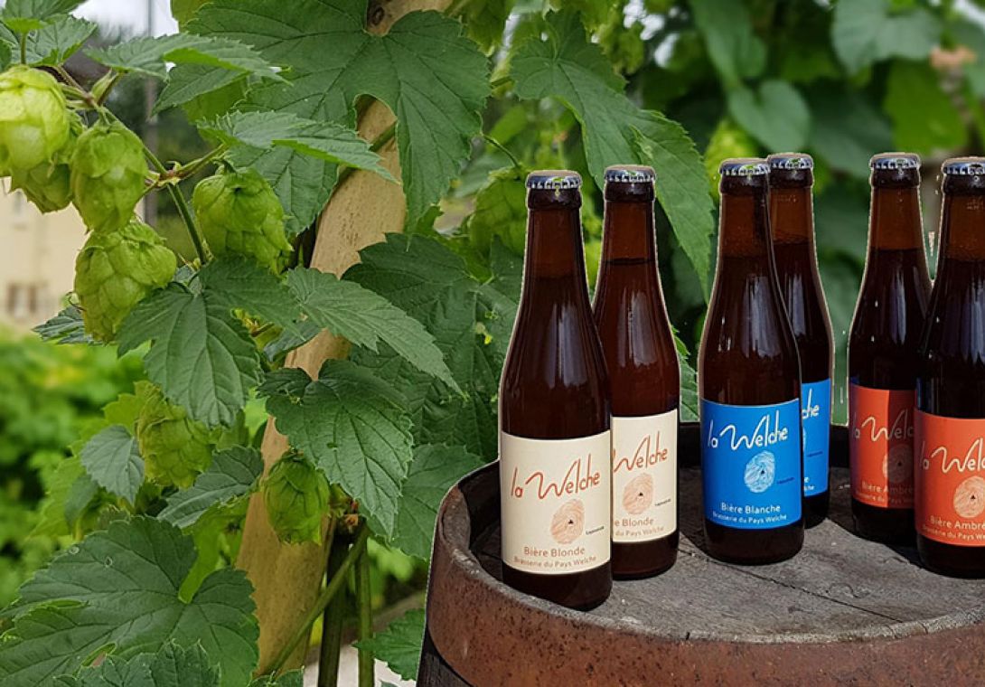 bière artisanale brasserie alsace malt bio lapoutroie welche