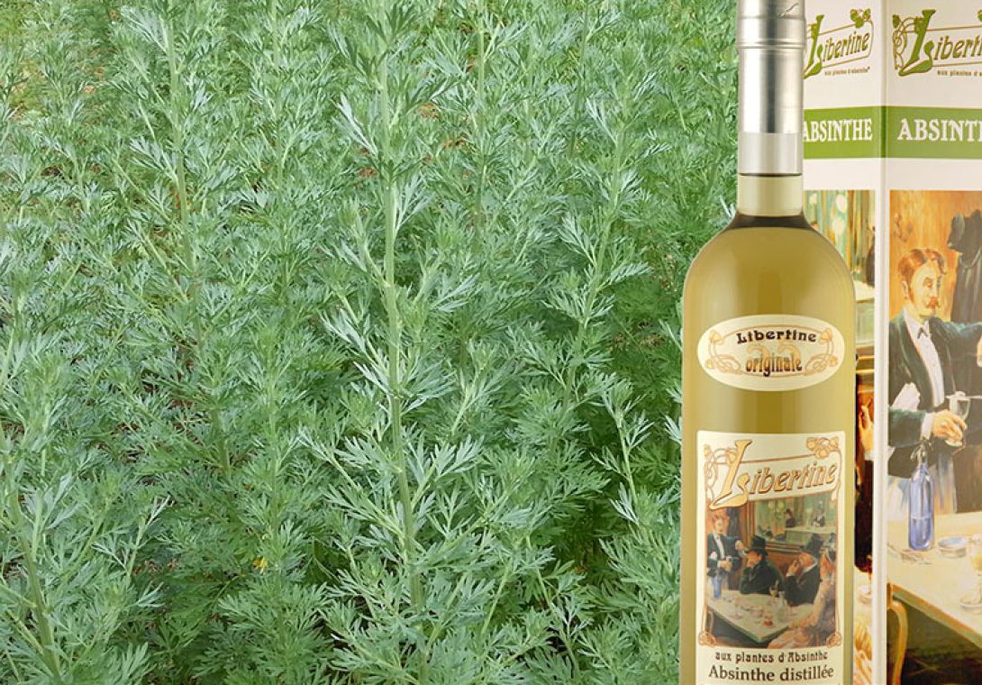absinths Libertine natural made with plants