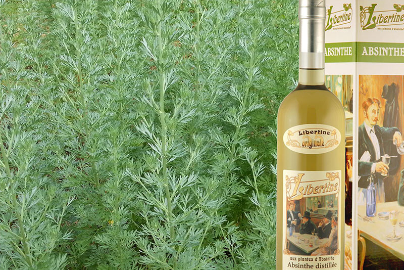 Absinthe Lecomte-Blaise